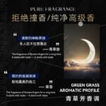 Bright Star & Moon Perfume, New Cross-border Item, Citrus Woody Scent, Long-lasting Strong Fragrance for Men - Image 3